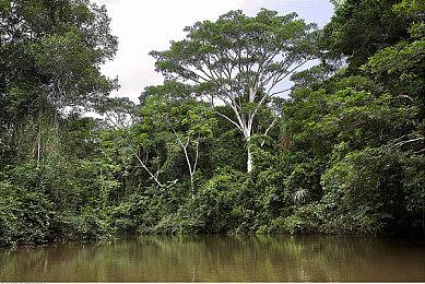 角色扮演游戏《格兰蒂亚秘闻》开发13年后终于推出1.0正式版